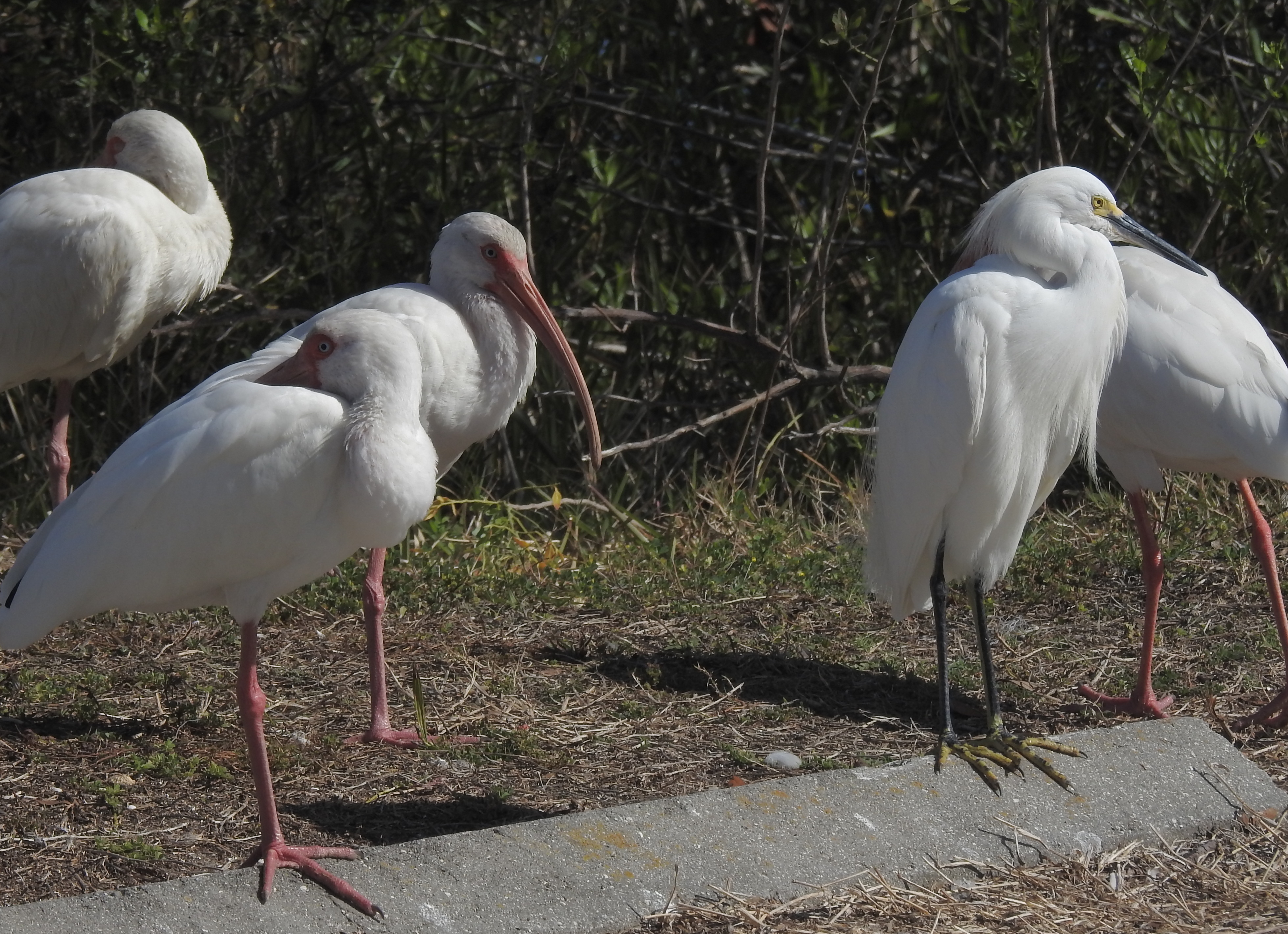 Spruce Creek: Day-2 - Michael's Place